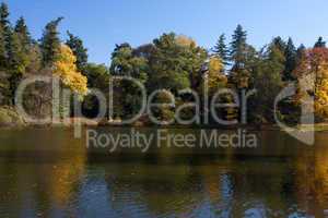 beautiful autumn landscape with colorful trees and a pond