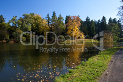 beautiful autumn landscape with colorful trees and a pond