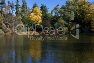 beautiful autumn landscape with colorful trees and a pond