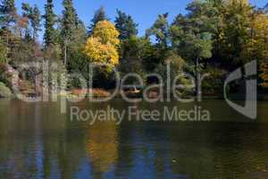 beautiful autumn landscape with colorful trees and a pond