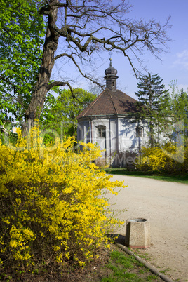 Park in Spring