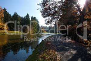 beautiful autumn landscape with colorful trees and a pond