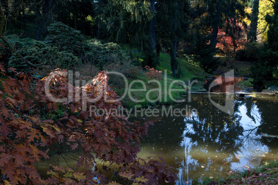 beautiful autumn landscape with colorful trees and a pond