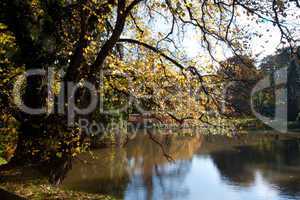 beautiful autumn landscape with colorful trees and a pond