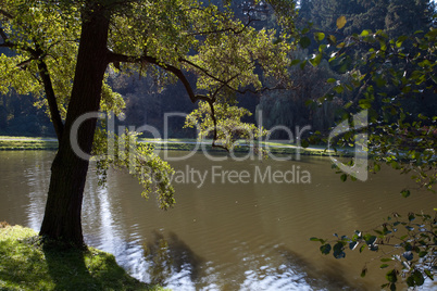 beautiful autumn landscape with colorful trees and a pond