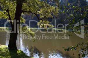 beautiful autumn landscape with colorful trees and a pond