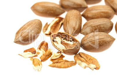 Pecan isolated on white