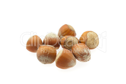 hazelnuts isolated on white