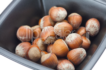 hazelnuts in a bowl isolated on white