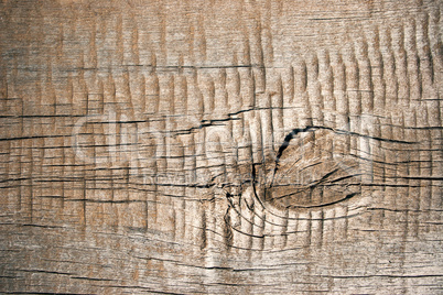 Old cracked wood