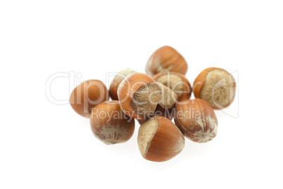 hazelnuts isolated on white