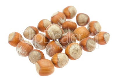 hazelnuts isolated on white