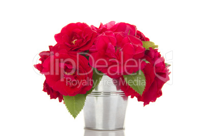 Red Roses in a pail