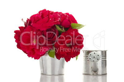 Red Roses in a pail