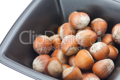 hazelnuts in a bowl isolated on white