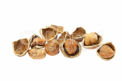 hazelnuts isolated on white