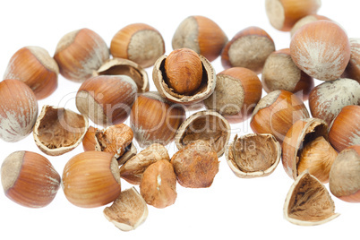 hazelnuts isolated on white