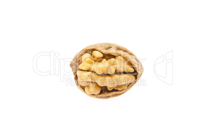 Walnuts isolated on white