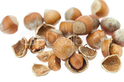 hazelnuts isolated on white