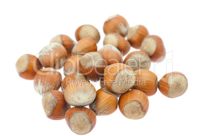 hazelnuts isolated on white