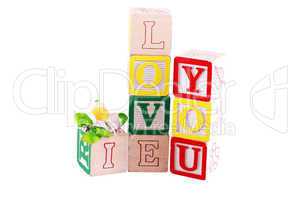 I Love You photographed using childs alphabet