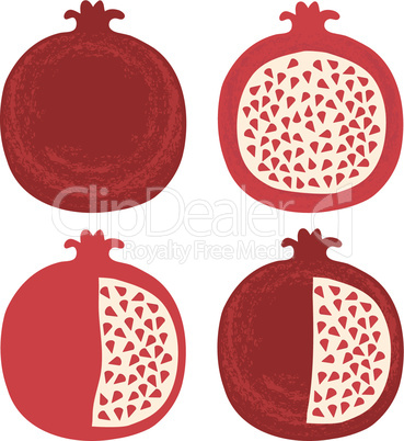 Vector Pomegranate
