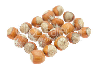 hazelnuts isolated on white