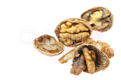 Walnuts isolated on white