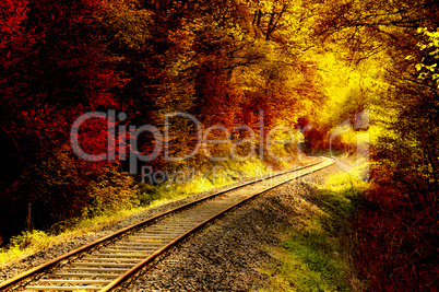 Railroad tracks through an autumnal forest