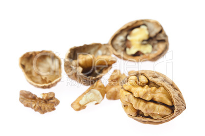 Walnuts isolated on white