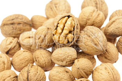 Walnuts isolated on white