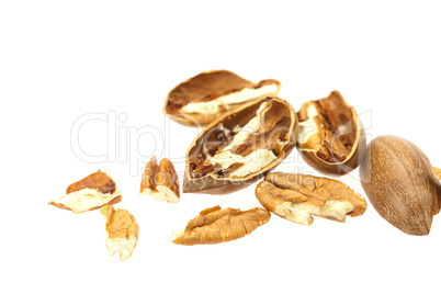 Pecan isolated on white