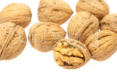 Walnuts isolated on white