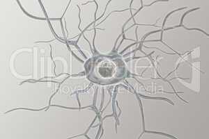 Nerve cells