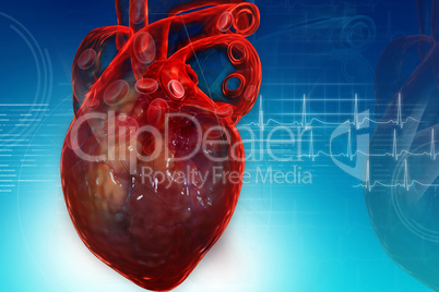 Human heart in digital design