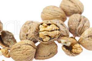 Walnuts isolated on white