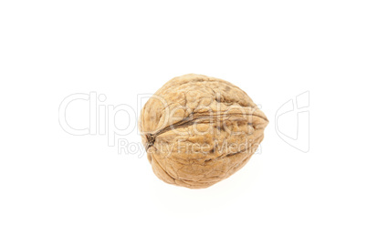 Walnuts isolated on white Walnuts isolated on white