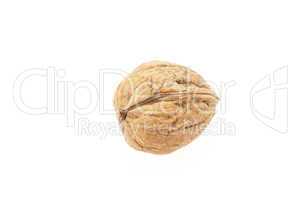 Walnuts isolated on white