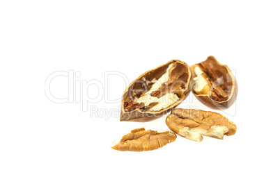 Pecan isolated on white