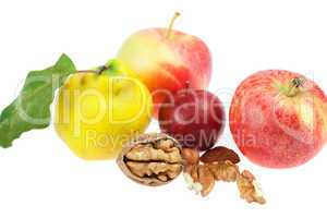 apple, quince and walnut isolated on white
