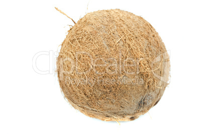 Coconut isolated on white