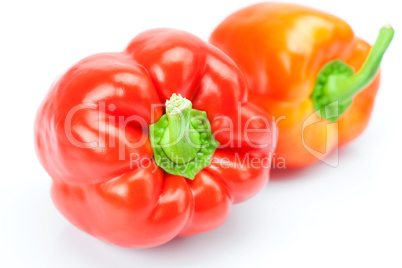 red pepper isolated on white