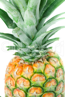 pineapple isolated on white