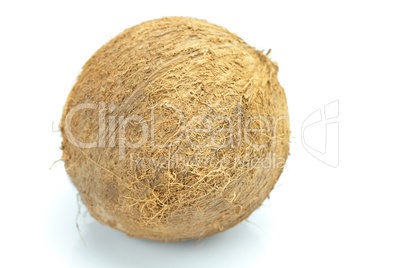 Coconut isolated on white