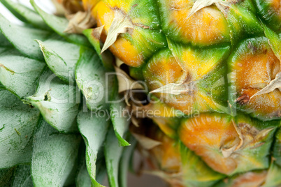 background of the pineapple