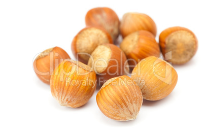 hazelnuts isolated on white