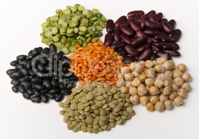 different species of legumes