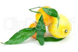 lemon and mandarin with green leaf isolated on white