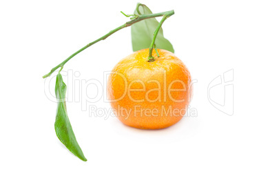 mandarin with green leaves isolated on white