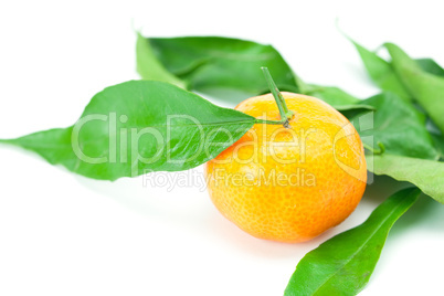 mandarin with green leaves isolated on white